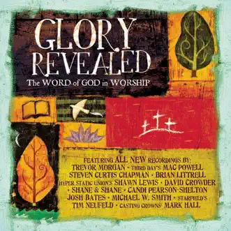 By His Wounds by Brian Littrell, Steven Curtis Chapman & Mark Hall song reviws