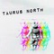 The Sound (feat. Wxsted Txlent) - Taurus North lyrics