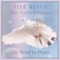 The Road to Peace (feat. Stevin McNamara) - Fred Westra lyrics