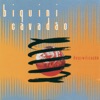 Biquini Cavadão - Vento Ventania