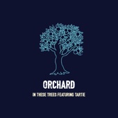 In These Trees - Orchard