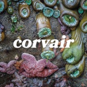 Corvair - Sunday Runner