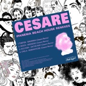 On the Way (Cesare Remix) artwork