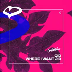 Where I Want 2 B - Single by CID album reviews, ratings, credits