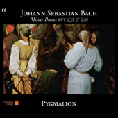 Bach: Missae Breves BWV 233 & 236 artwork