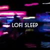 Lofi Sleep album lyrics, reviews, download