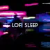 Lofi Sleep album cover