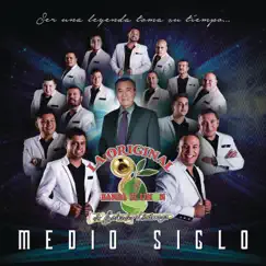 Medio Siglo by La Original Banda El Limón de Salvador Lizárraga album reviews, ratings, credits
