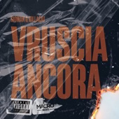 Vruscia Ancora artwork