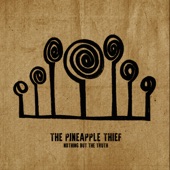 The Pineapple Thief - Our Mire (Nothing but the Truth)