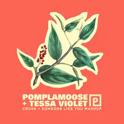 Crush + Someone Like You Mashup (feat. Tessa Violet) - Single by Pomplamoose album reviews, ratings, credits