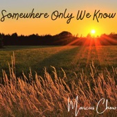 Somewhere Only We Know artwork