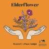 Elderflower - Single