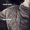 Sam Sam - Single