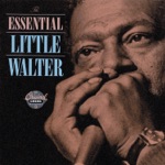 Little Walter - My Babe