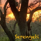 Serengeti artwork