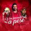 Stream & download Vem Fazendo a Pose (feat. MC KS & DJ Pufinho) - Single