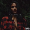 Casandra Deluxe Edition - Single