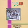 Banda R-15: 15 Grandes Éxitos, 1993