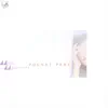 POCKET PARK (Remastered) album lyrics, reviews, download