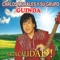 El Avión - Carlos Morales y Su Grupo Guinda lyrics