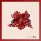 The Worship Initiative, Vol. 25 (Live) [Accompaniments] artwork