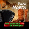 Puro Norte