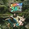 Driving to Hawaii - Summer Salt lyrics