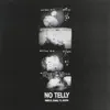 no telly (feat. 00ab, ayrtn & dxvl) - Single album lyrics, reviews, download