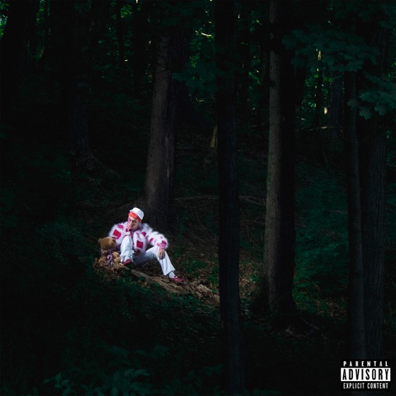 Cover artwork for It's Gonna Be Ok.