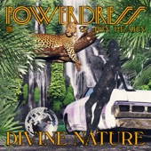 Divine Nature (Dub Mix) artwork