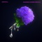 Garden - Jedwill lyrics