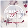 Prison of Love