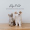 Dog & Cat - Relax Jazz Music lyrics