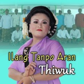 Ilang Tanpo Aran artwork