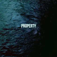 Property - Single by Shiwan album reviews, ratings, credits