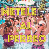 Metele al Perreo (Remix) artwork