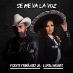 Vicente Fernández Jr. & Lupita Infante - Se Me Va la Voz