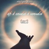 If I Could I Would - Single