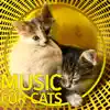 Music for Cats: Therapy Music to Relax Your Cat album lyrics, reviews, download