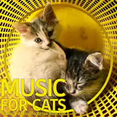 Music for Cats: Therapy Music to Relax Your Cat by Music for Cats Peace, Cat Music Dreams & RelaxMyCat album reviews, ratings, credits
