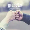Gratidão (Obrigado, Amigo) - Single album lyrics, reviews, download