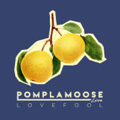 Lovefool - Pomplamoose