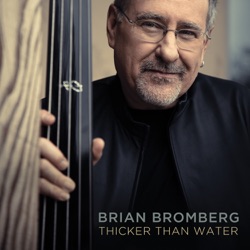 Brian Bromberg - Is That the Best You Can Do?