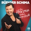 Die Herzen haben eingecheckt - Single