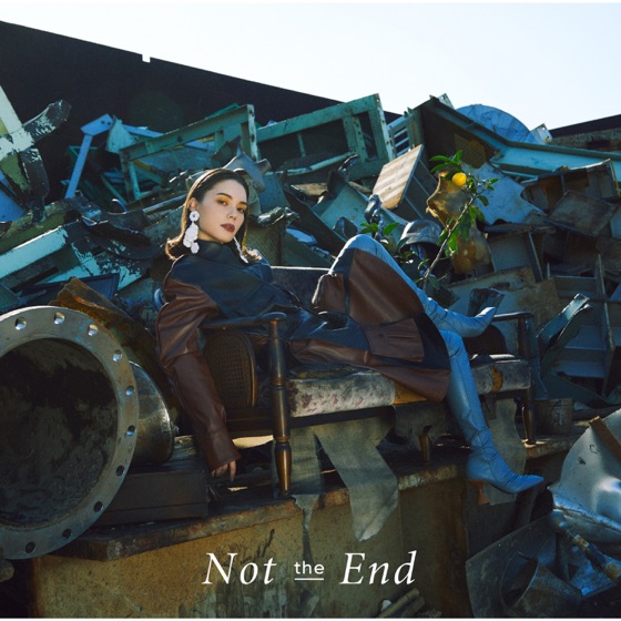 Cover artwork for Not the End