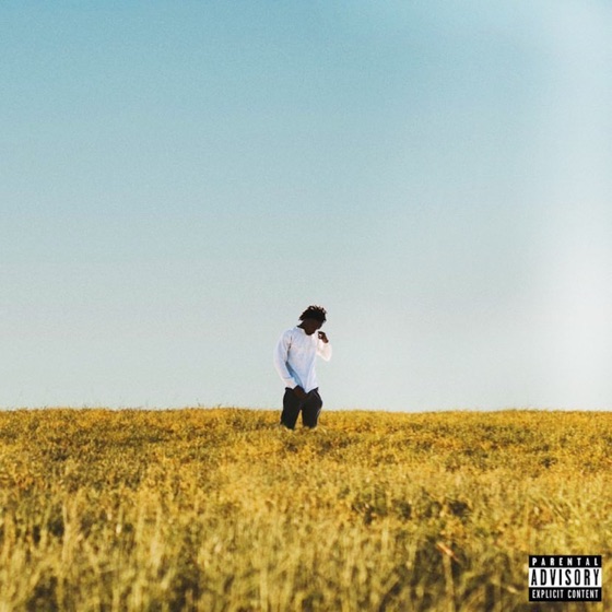 Cover artwork for No Luck
