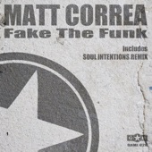 Fake the Funk artwork