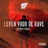 Leven voor de Rave (Remastered) artwork