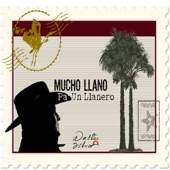 Mucho Llano Pa Un Llanero artwork